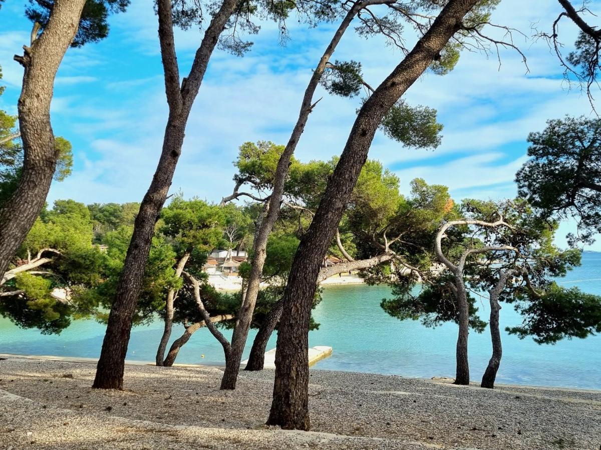 Apartmán Seaview Sveti Filip i Jakov Exteriér fotografie